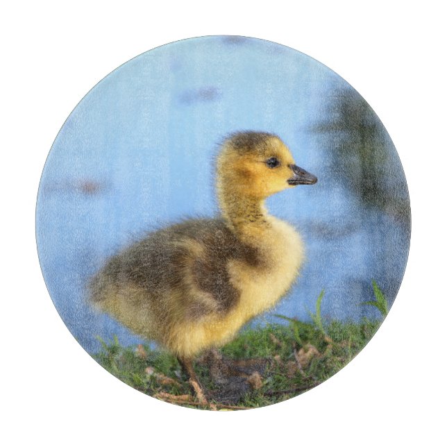 Baby Gosling Round Cutting Board Schneidebrett (Vorderseite)