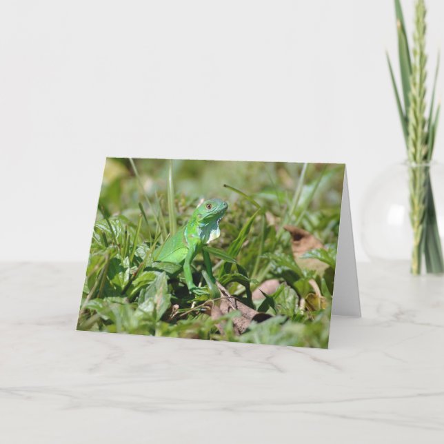 Baby-Green Card Karte (Vorderseite)
