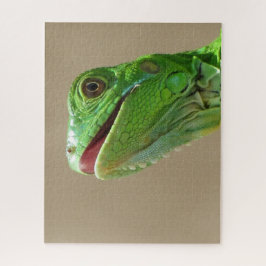 Baby Green Iguana Puzzle