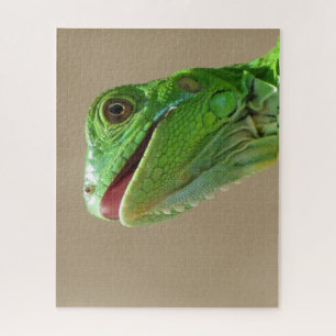 Baby Green Iguana Puzzle