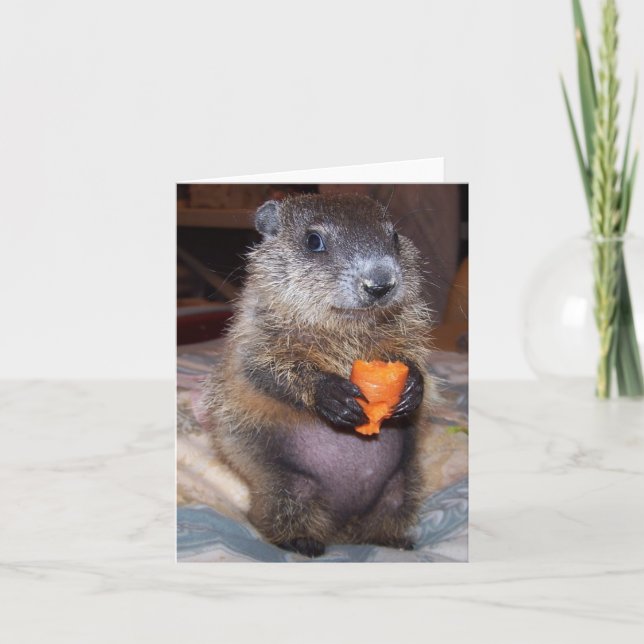 Baby Groundhog Maude Note Card Karte (Vorderseite)