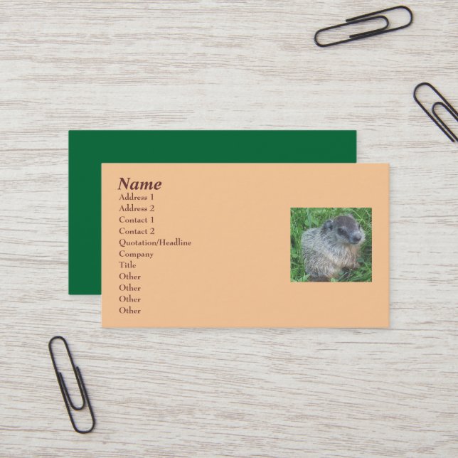 Baby Groundhog/Woodchuck Business Card Visitenkarte (Vorderseite/Rückseite Beispiel)