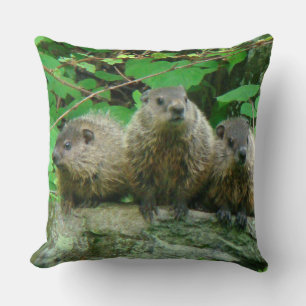 Baby Groundhogs - Woodchucks - Grundsows Kissen