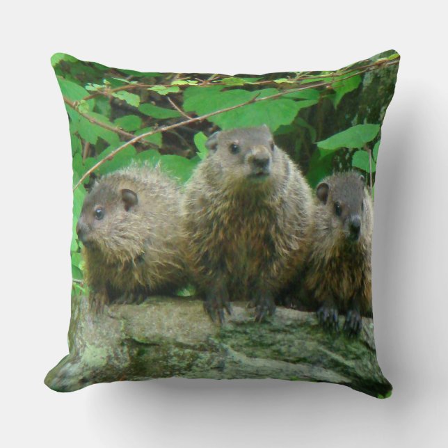 Baby Groundhogs - Woodchucks - Grundsows Kissen (Vorderseite)