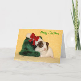Baby Guinea Pig Frohe Weihnachtskarte Feiertagskarte