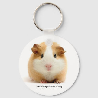 Baby Guinea Pig Schlüsselanhänger