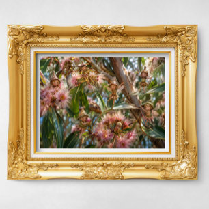Baby Gumnut Feen tanzen in Fairy Floss Gumtree Poster