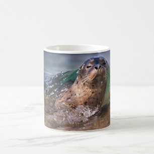 Baby Harbor Siegel Kaffeetasse