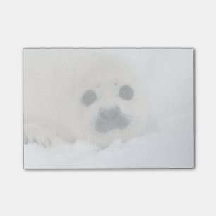 Baby-Harfen-Siegel Post-it Klebezettel
