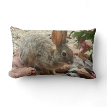 Baby-Häschen im Sedona Felsen-Akzent-Wurfs-Kissen