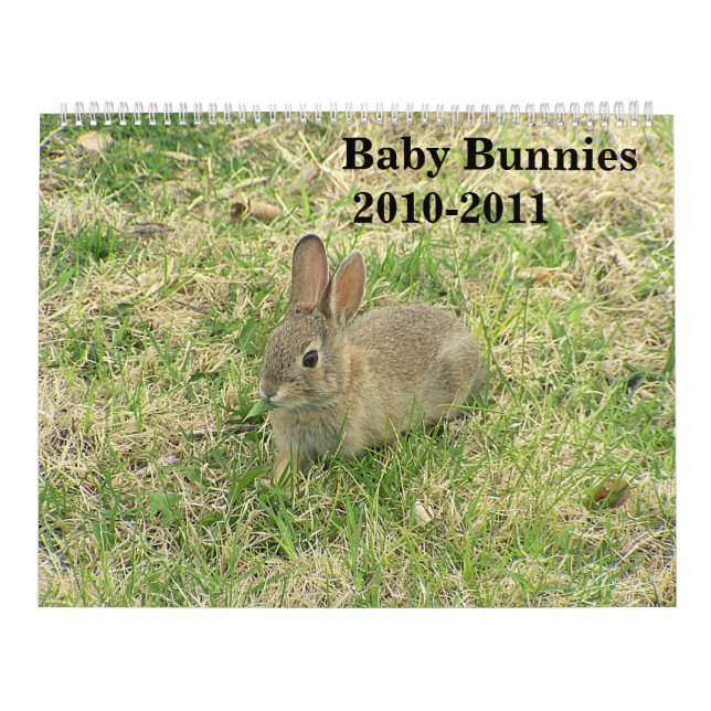 Baby-Häschen-Kalender 2010-2011 Kalender (Titelbild)
