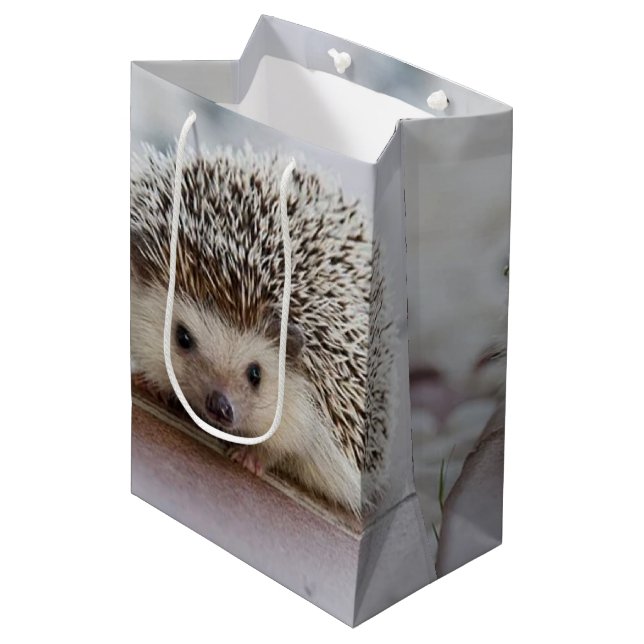 Baby-Hedgehog Mittlere Geschenktüte (Vorderseite Schrägansicht)