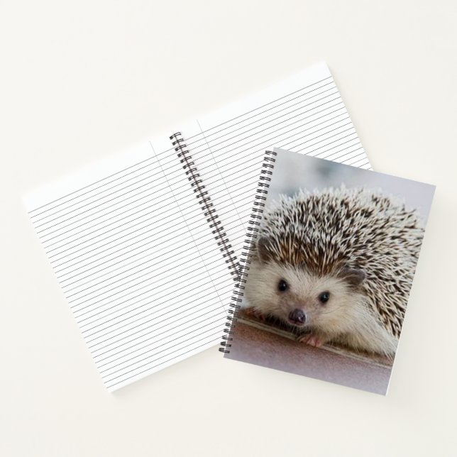 Baby-Hedgehog Notizbuch (Innenseite)