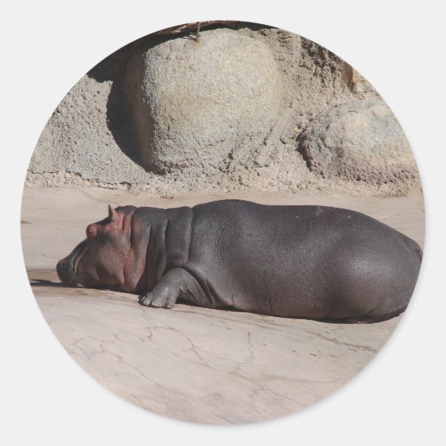 Baby Hippo Runder Aufkleber (Vorderseite)