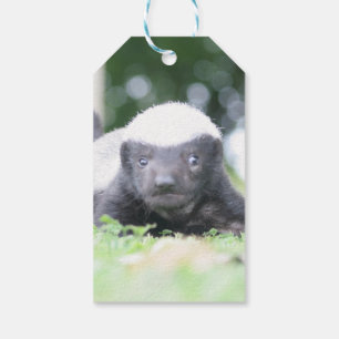 Baby Honigdachs Geschenkanhänger