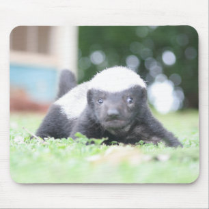 Baby-Honigdachs Mousepad