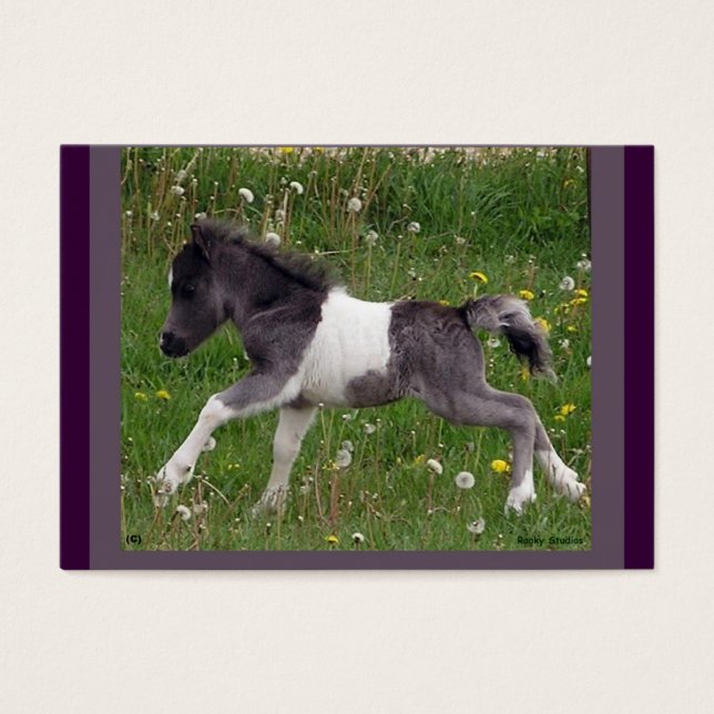 Baby Horse Visitenkarte (Vorderseite)