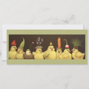 Baby Huey ist Gastgeber der Piep Festival-Flachkar