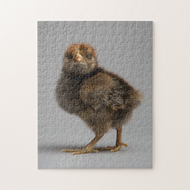 Baby-Huhn Puzzle (Vertikal)