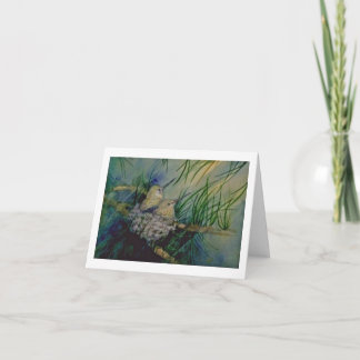 Baby Hummingbirds im Nest