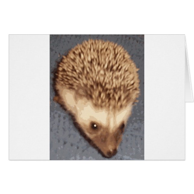 Baby Igel (Vorderseite (Horizontal))