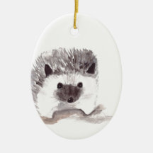 Baby Igel