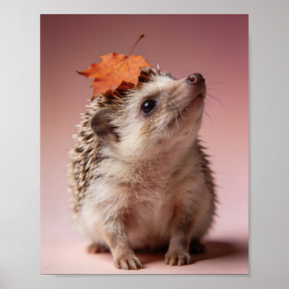 Baby-Igel-Kinderzimmer-Druck – Wandkunst Poster