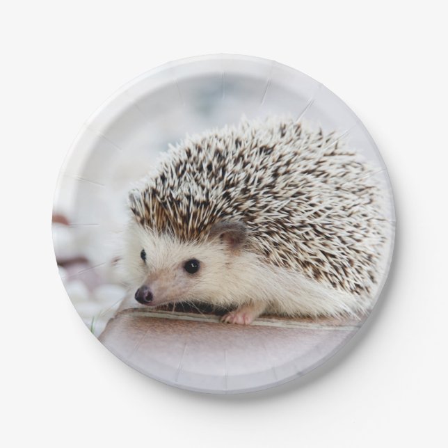 Baby Igel Pappteller (Vorderseite)