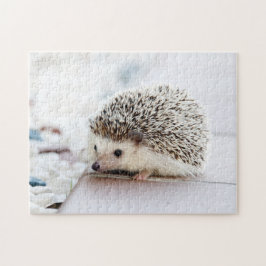 Baby-Igel Puzzle