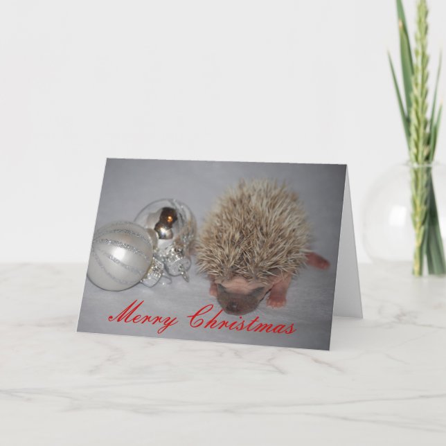 Baby Igel Weihnachtskarte Feiertagskarte (Vorderseite)