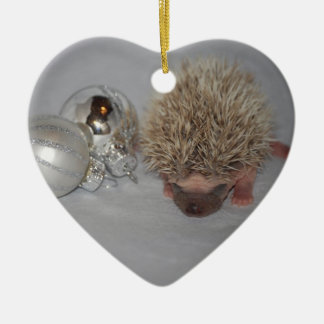 Baby-Igels-Weihnachtsverzierung Keramikornament