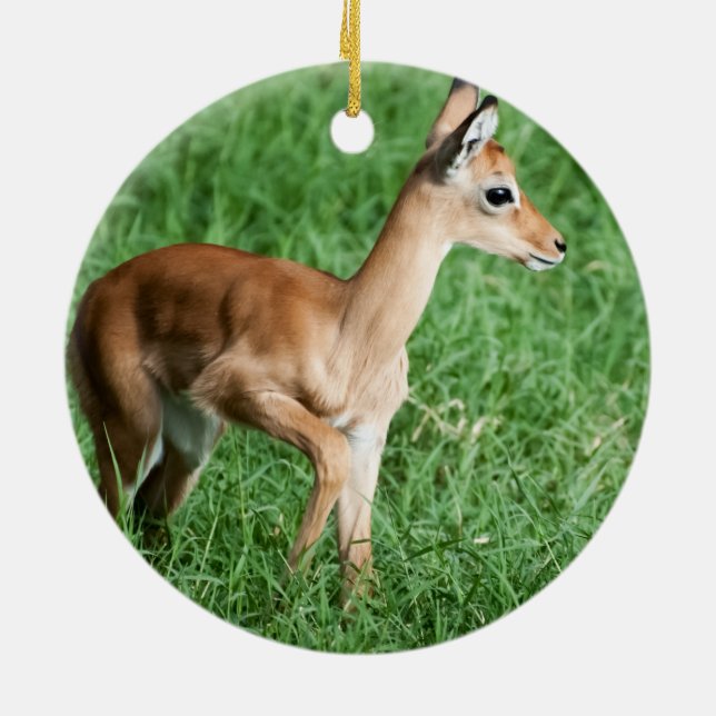 Baby Impala Keramik Ornament (Hinten)