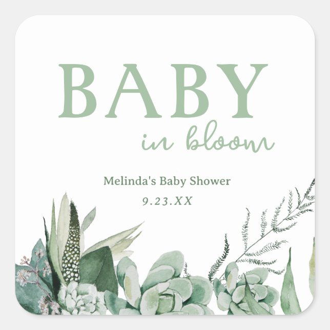 Baby in Bloom Succulent Quadratischer Aufkleber (Vorderseite)