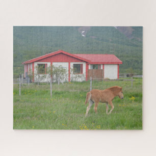 Baby Isländisch Pferd auf Bauernhof Puzzle