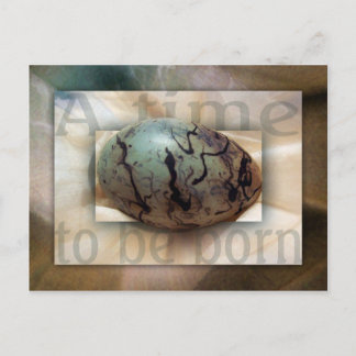 Baby Jungen Postkarte