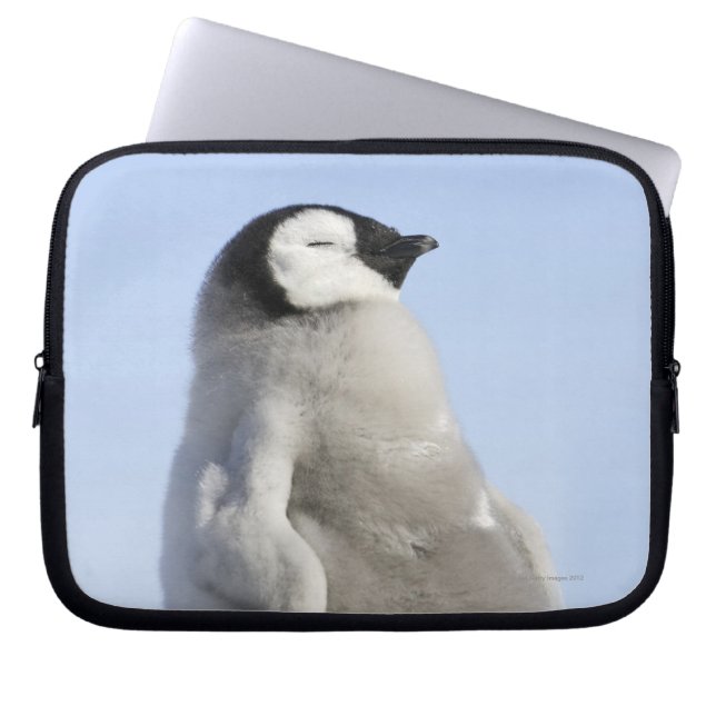 Baby Kaiser Pinguin, Insel Snow Hill Laptopschutzhülle (Vorderseite)