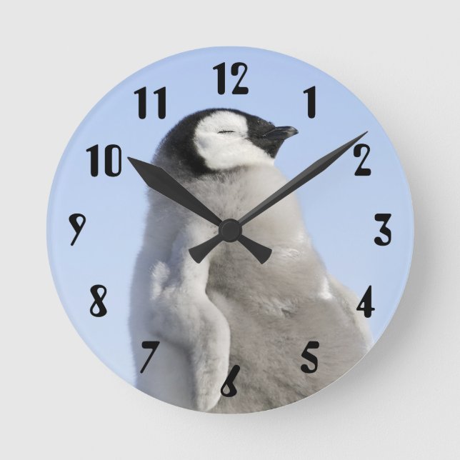 Baby Kaiser Pinguin, Insel Snow Hill Runde Wanduhr (Vorderseite)