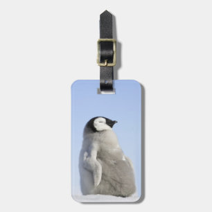 Baby-Kaiser-Pinguin, Schnee-Hügel-Insel Gepäckanhänger