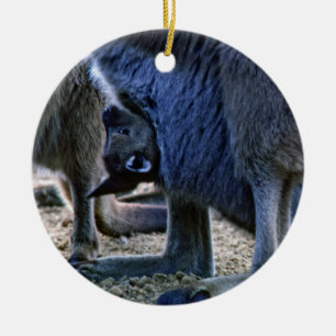 Baby Kangaroo in der Tüte der Mutter - Australien Keramik Ornament