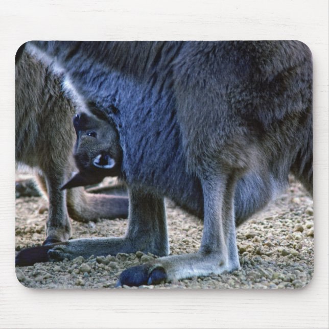 Baby Kangaroo in der Tüte der Mutter - Australien Mousepad (Vorne)