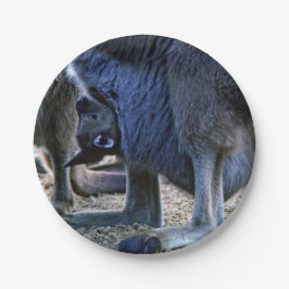 Baby Kangaroo in der Tüte der Mutter - Australien Pappteller