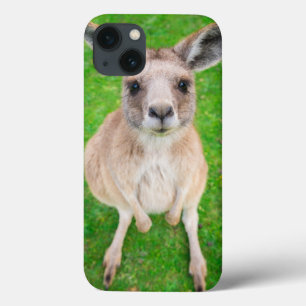 Baby-Känguru Getty Bild- Case-Mate iPhone Hülle