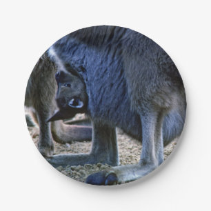 Baby-Känguru in der Tasche der Mutter - Australien Pappteller