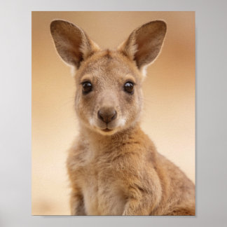 Baby-Känguru-Porträt – Süße Nursery-Tier-Wand Poster