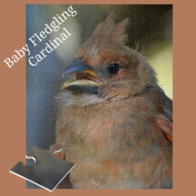 Baby Kardinal Bird Nah-up Fotografie Puzzle (Von Creator hochgeladen)