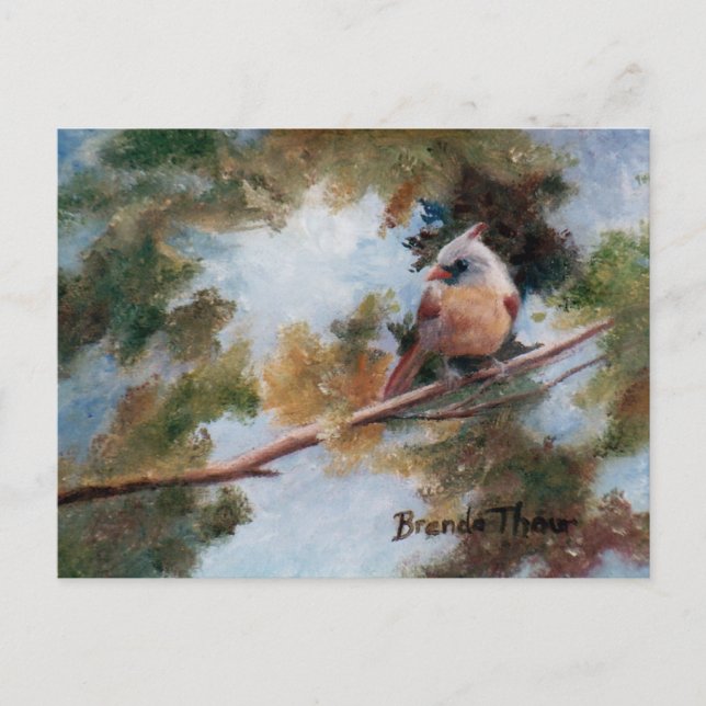 Baby Kardinal Postcard Postkarte (Vorderseite)