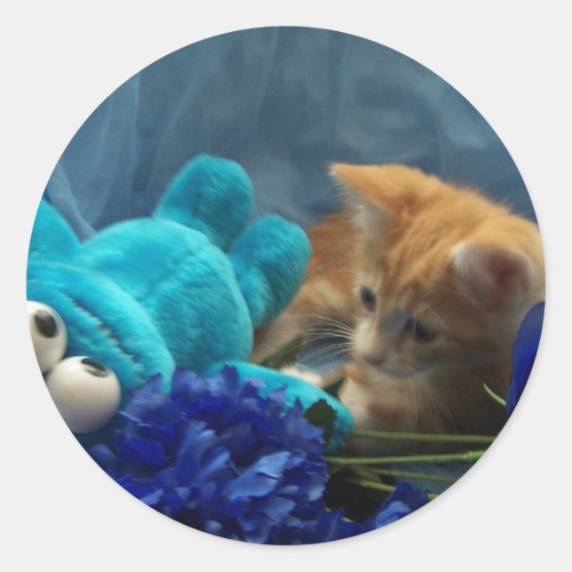 Baby Kitten Cole Runder Aufkleber (Vorderseite)