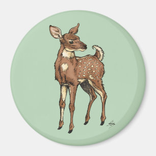 Baby-Kitz mit tadellosem Hintergrund Magnet