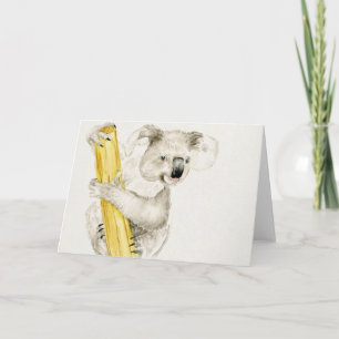 Baby Koala Cute & Furry Karte