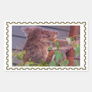 Baby Koala Falsche Briefmarke Rechteckiger Aufkleber